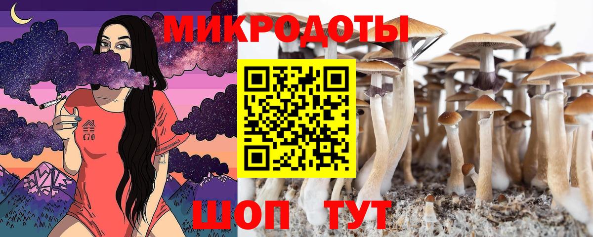 Унеча  Псилоцибиновые грибы прущие грибы  Вход с VPN 