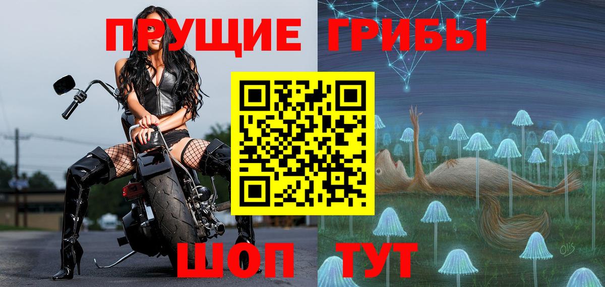 Псилоцибиновые грибы Psilocybe Унеча